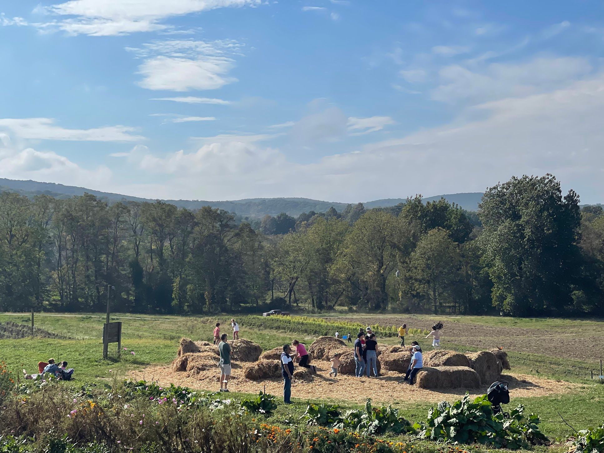 Apple Picking at Fishkill Farms (A Family Tradition Since 2019)