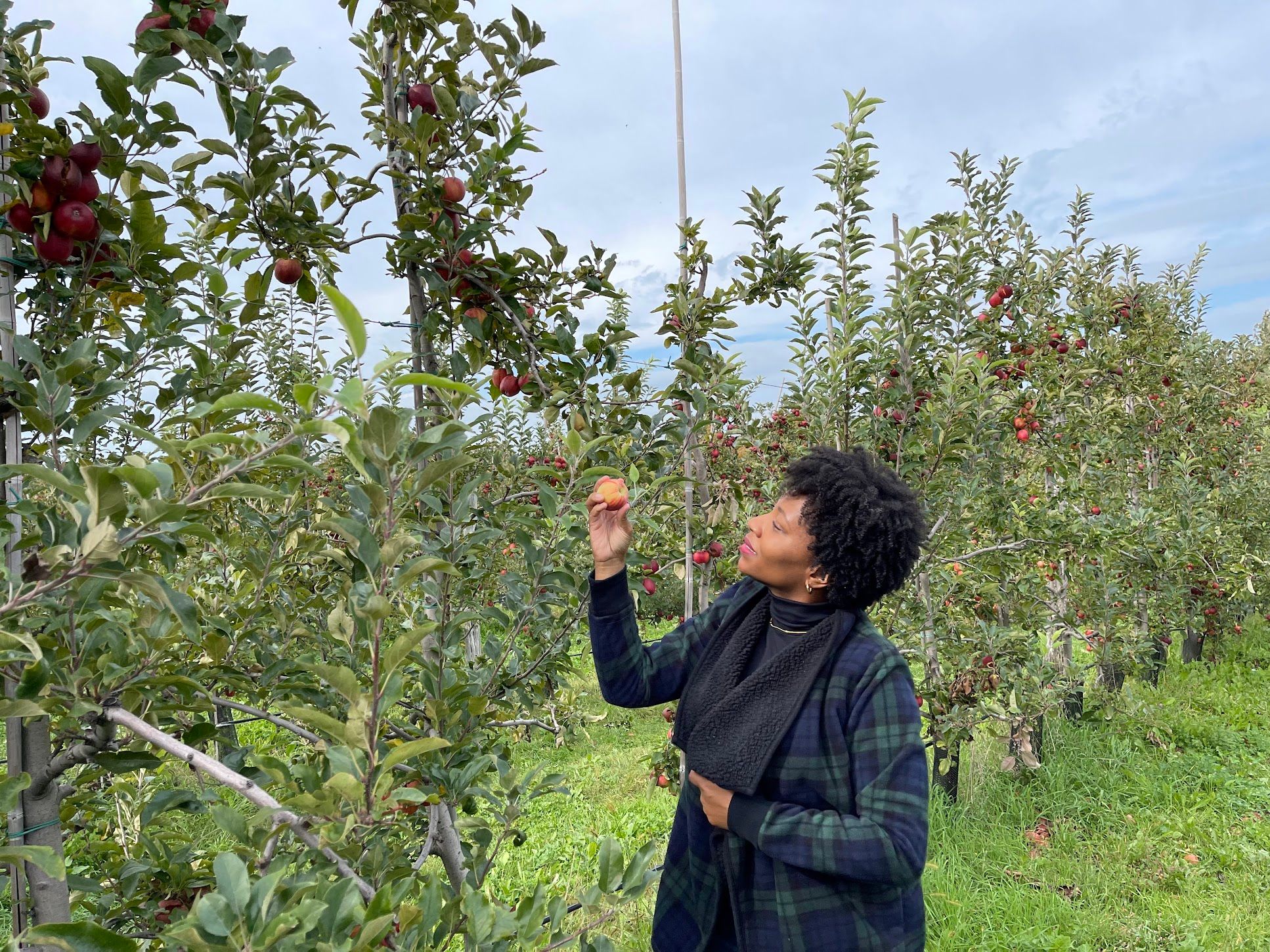 Apple Picking at Fishkill Farms (A Family Tradition Since 2019)