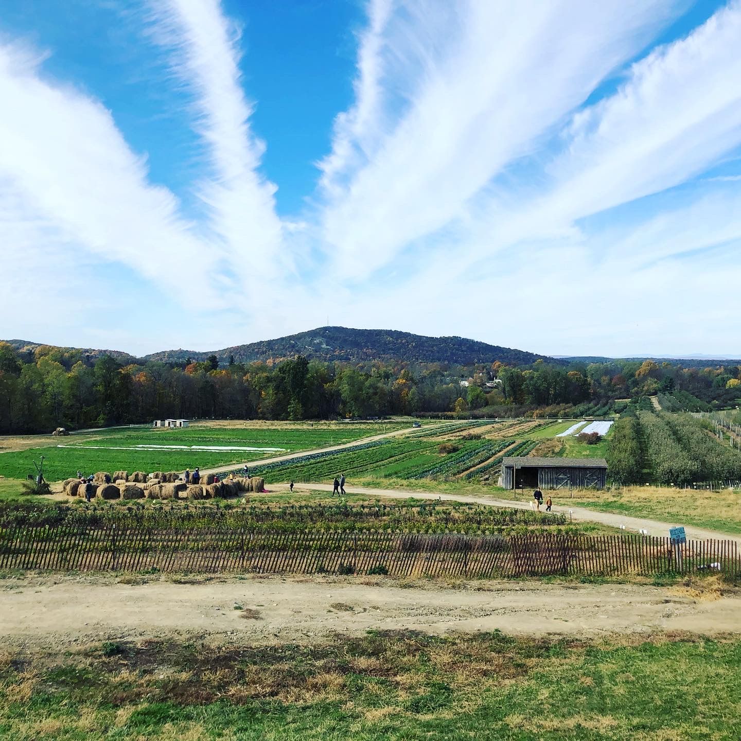 Apple Picking at Fishkill Farms (A Family Tradition Since 2019)