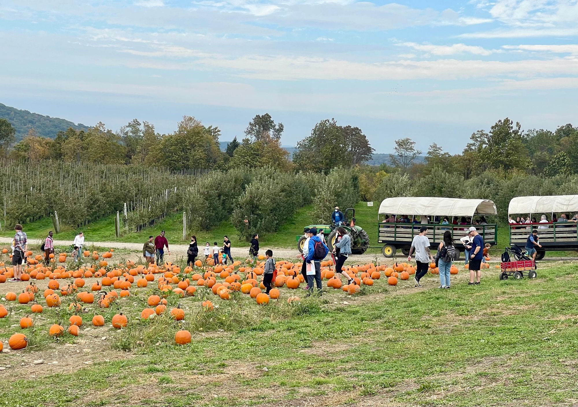 Apple Picking at Fishkill Farms (A Family Tradition Since 2019)