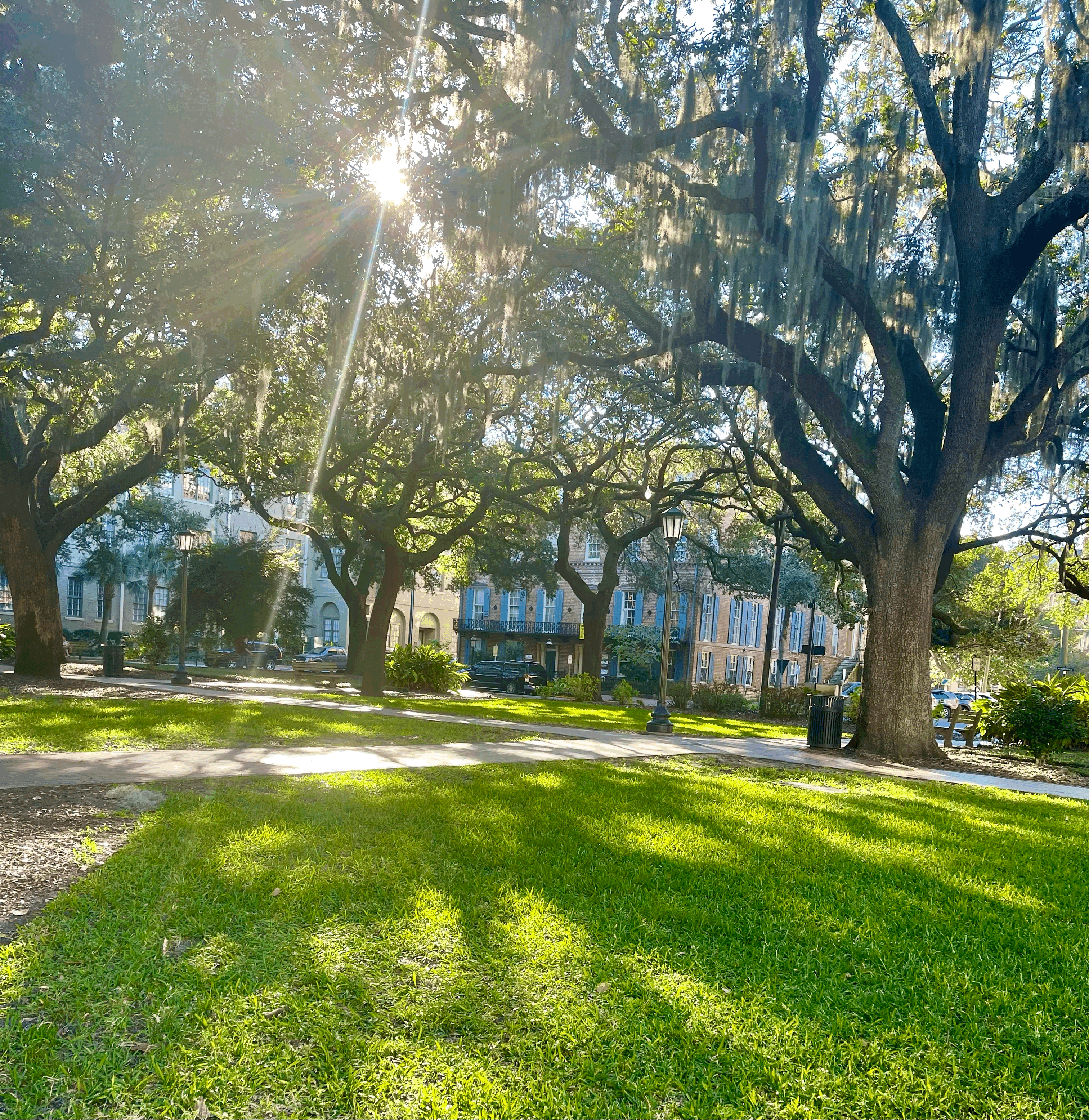 A Calorie-Filled Afternoon in Savannah, GA